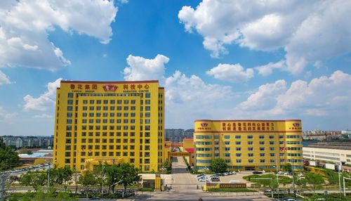 農(nóng)業(yè)企業(yè)的時(shí)代使命 魯花樣本 助力鄉(xiāng)村振興的實(shí)踐探索